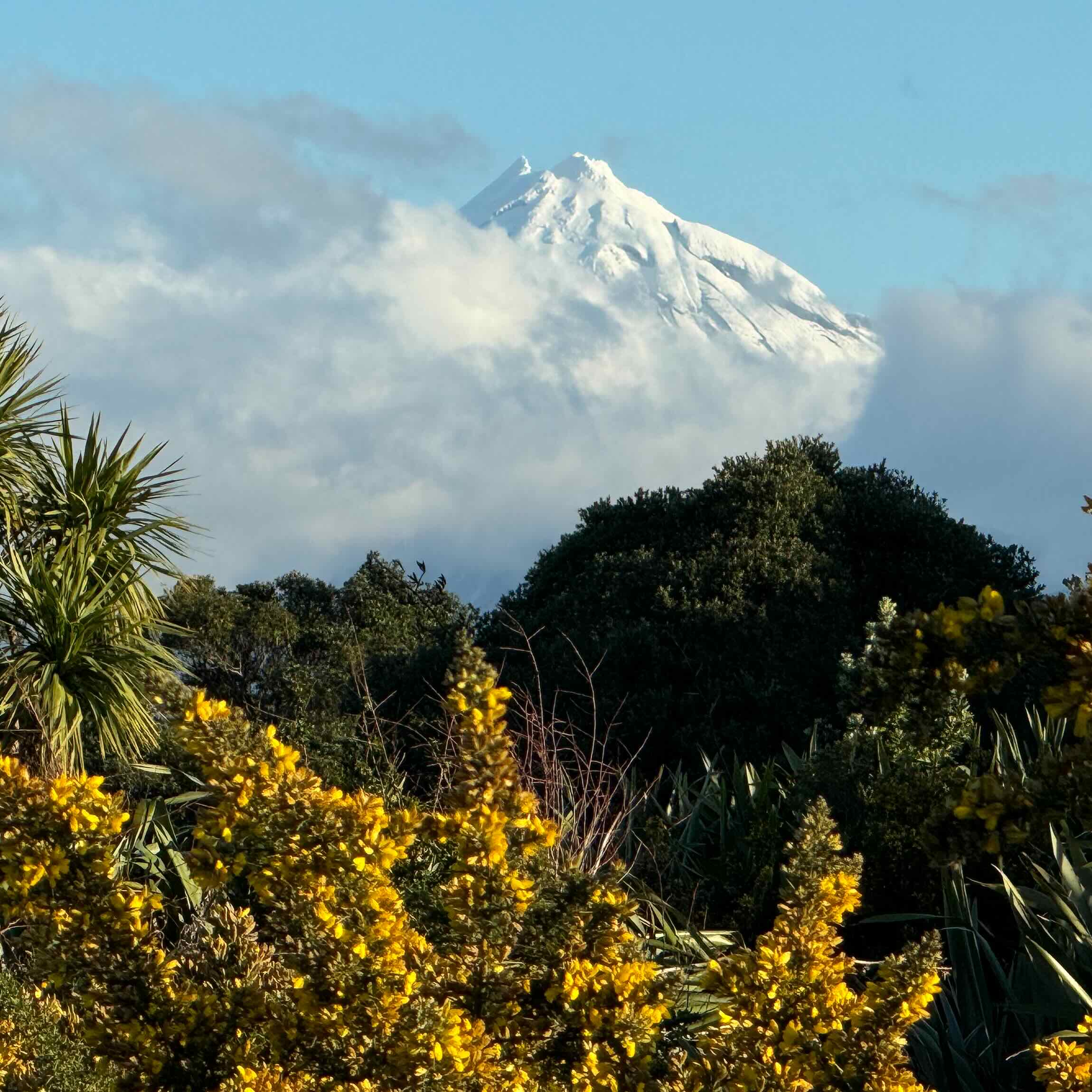 Snowcap of Mount Taranaki